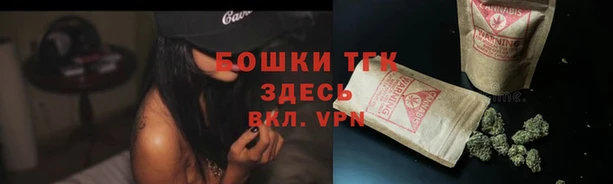 a pvp Инсар