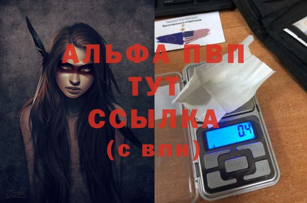 a pvp Инсар