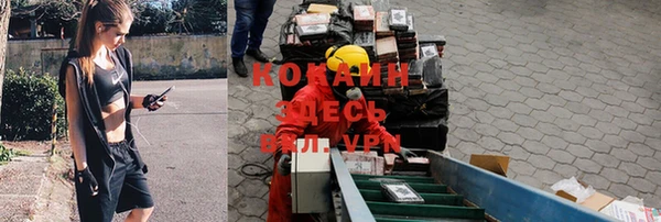 прущие крисы Коряжма